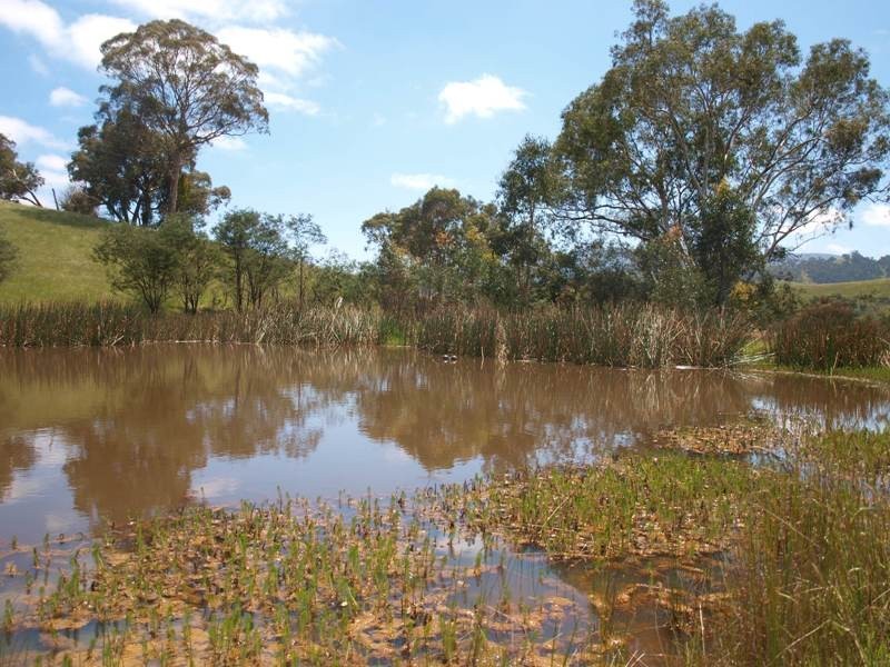 Broadford VIC 3658
