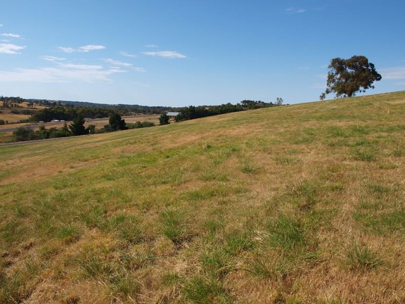 Lot 27 Sir Leo Curtis, Wandong VIC 3758