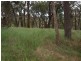 Wandong VIC 3758