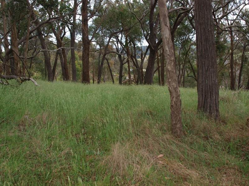 Wandong VIC 3758