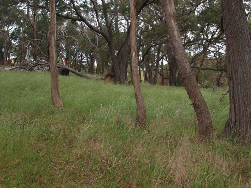 Wandong VIC 3758