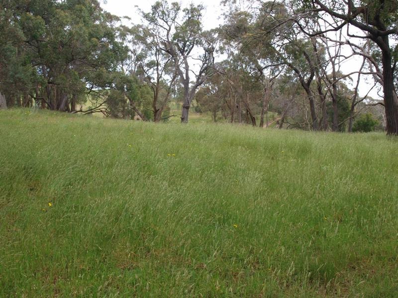Wandong VIC 3758