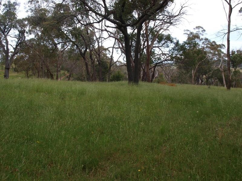 Wandong VIC 3758