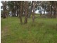 Wandong VIC 3758