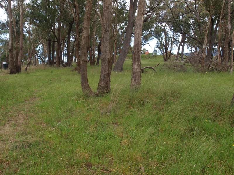 Wandong VIC 3758
