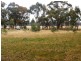 Murchison VIC 3610