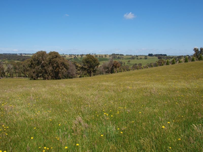 3C Mathieson Road, Wandong VIC 3758