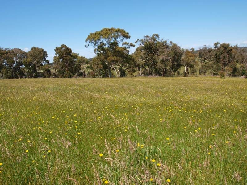 3C Mathieson Road, Wandong VIC 3758