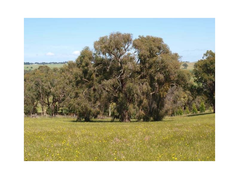 3C Mathieson Road, Wandong VIC 3758