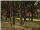 Lot12c Sir Leo Curtis Drive, Wandong VIC 3758