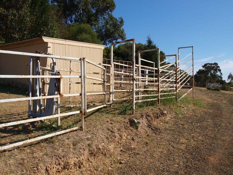 1541 Broadford Wandong Road, Broadford VIC 3658