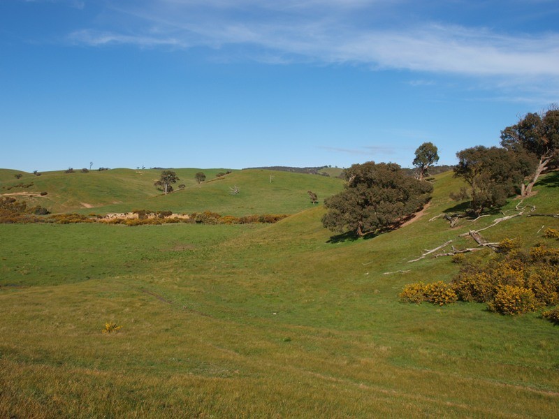 Kilmore VIC 3764