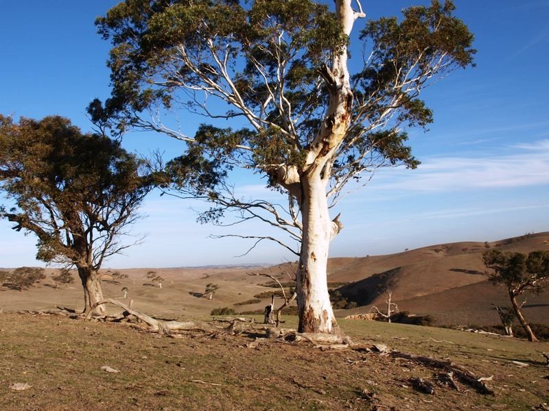 Kilmore VIC 3764
