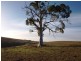 Kilmore VIC 3764
