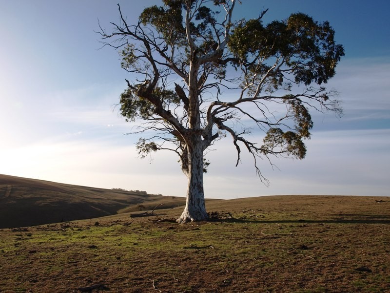 Kilmore VIC 3764
