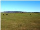 Kilmore VIC 3764