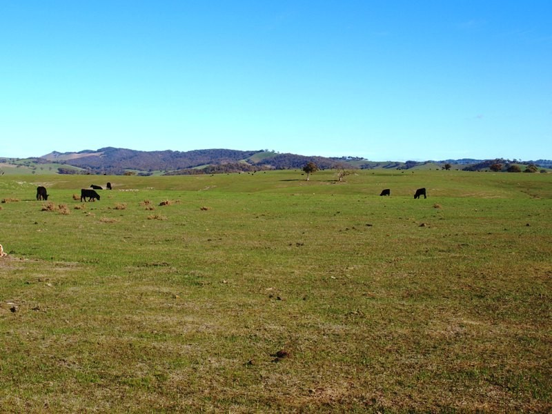 Kilmore VIC 3764