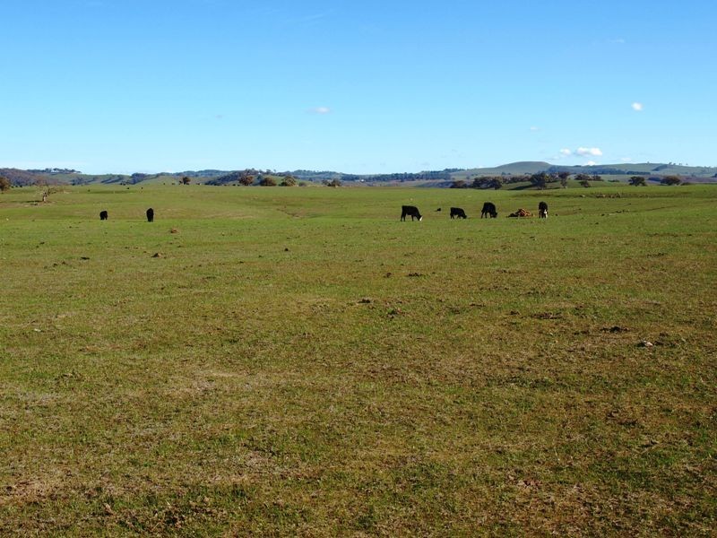 Kilmore VIC 3764