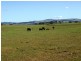 Kilmore VIC 3764