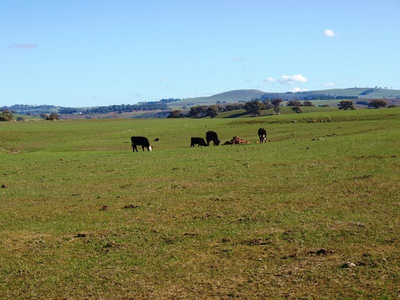 Kilmore VIC 3764