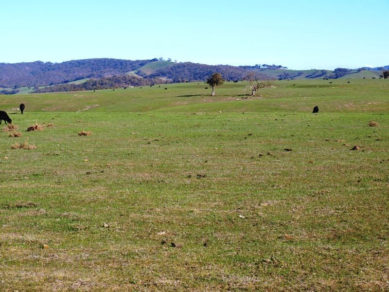 Kilmore VIC 3764