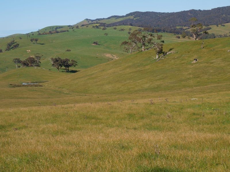 Kilmore VIC 3764