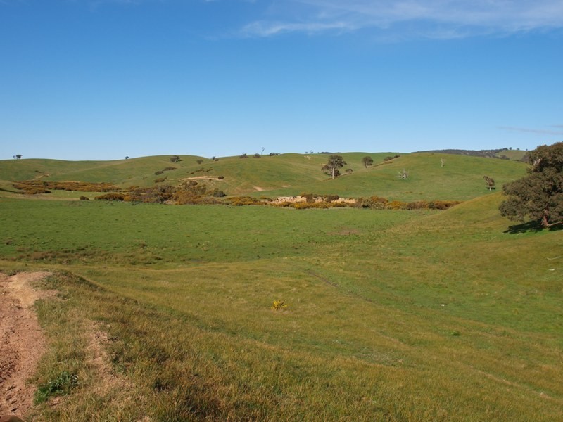 Kilmore VIC 3764