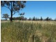 0 Settlement Boundary Road, Nathalia VIC 3638