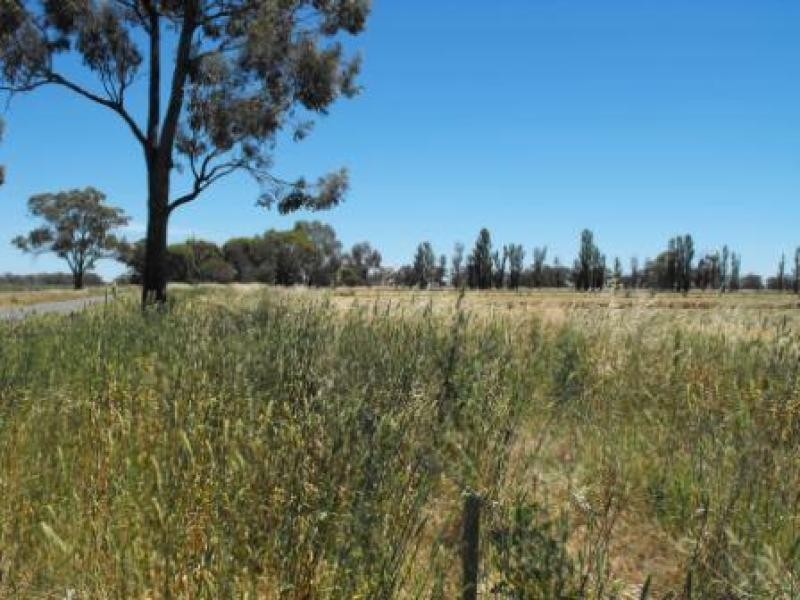 0 Settlement Boundary Road, Nathalia VIC 3638