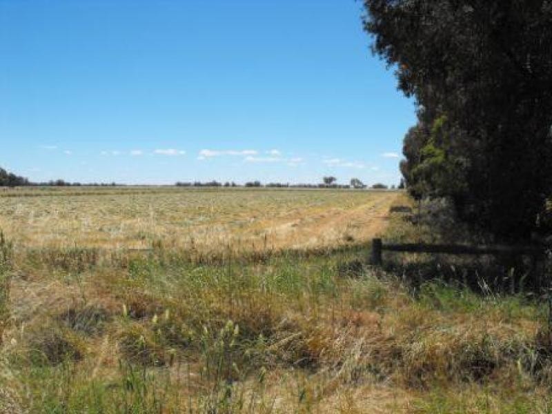 0 Settlement Boundary Road, Nathalia VIC 3638