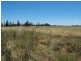 0 Settlement Boundary Road, Nathalia VIC 3638
