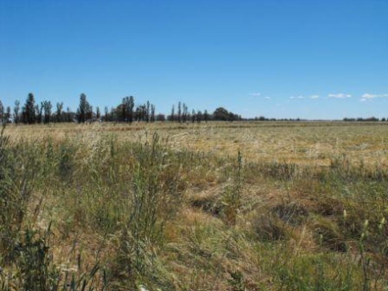 0 Settlement Boundary Road, Nathalia VIC 3638