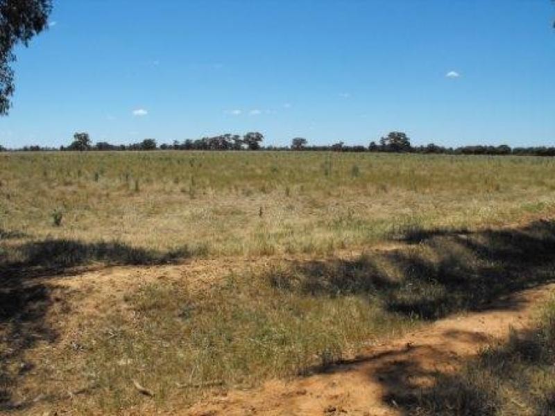 0 Settlement Boundary Road, Nathalia VIC 3638