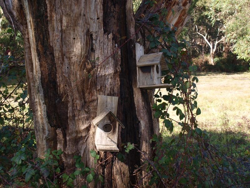 Kilmore East VIC 3764