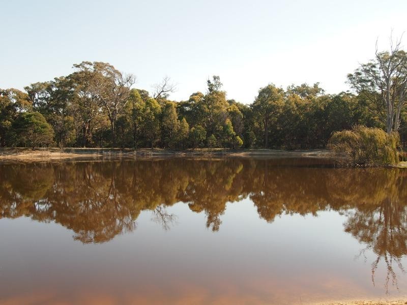 20 Coopers Road, Willowmavin VIC 3764