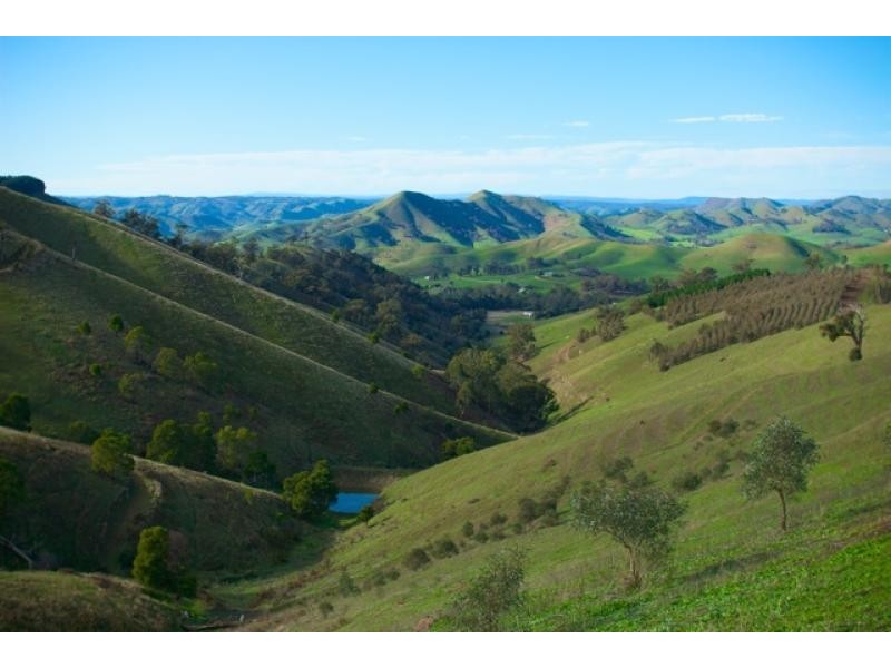 1449 Flowerdale Broadford Road, Strath Creek VIC 3658