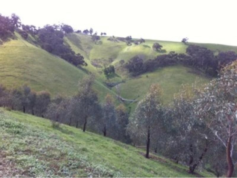 1449 Flowerdale Broadford Road, Strath Creek VIC 3658