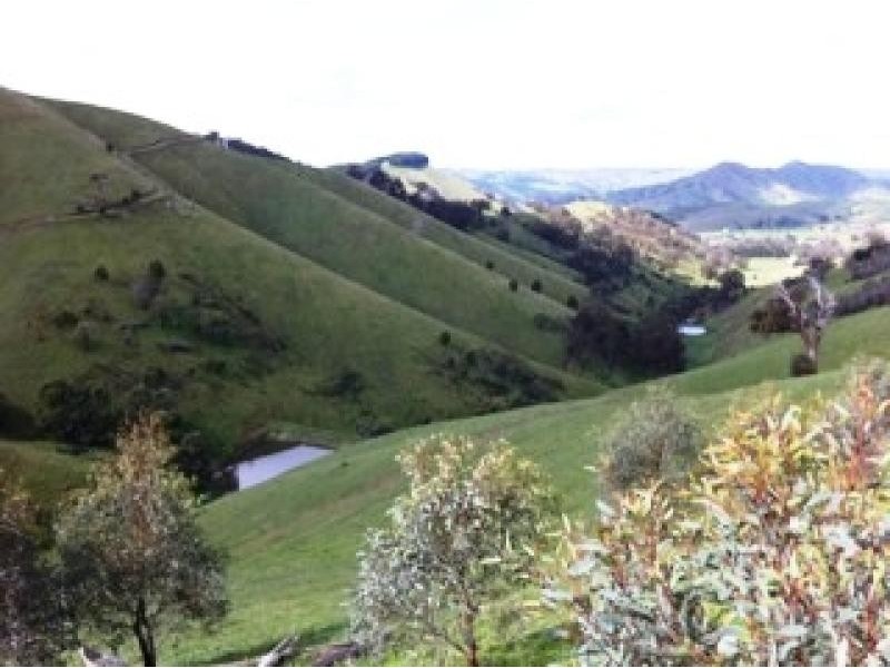 1449 Flowerdale Broadford Road, Strath Creek VIC 3658