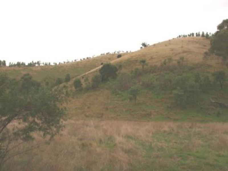 1449 Flowerdale Broadford Road, Strath Creek VIC 3658