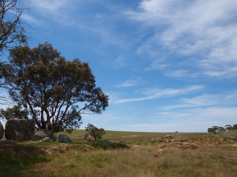 1105 West Road, Pyalong VIC 3521