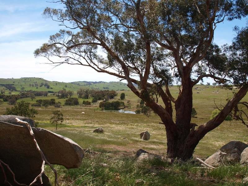 1105 West Road, Pyalong VIC 3521