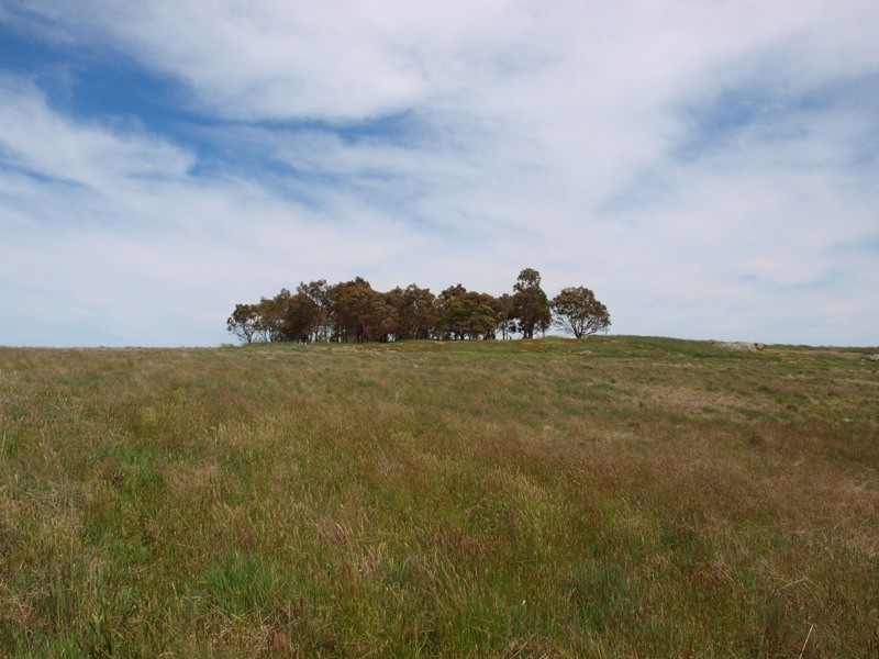 1105 West Road, Pyalong VIC 3521