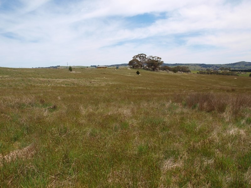 1105 West Road, Pyalong VIC 3521