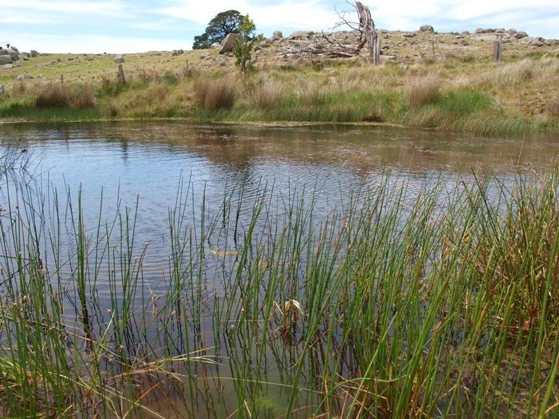 1105 West Road, Pyalong VIC 3521