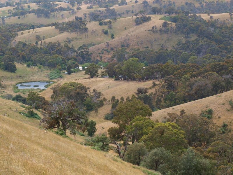 Lot 1 LP112177 Doctors  Creek Road, Clonbinane VIC 3658