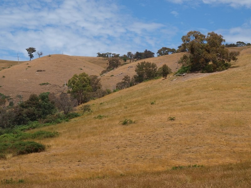 Lot 1 LP112177 Doctors  Creek Road, Clonbinane VIC 3658