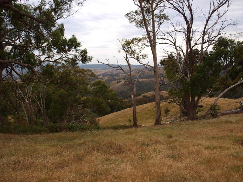 Lot 1 LP112177 Doctors  Creek Road, Clonbinane VIC 3658