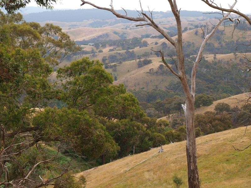 Lot 1 LP112177 Doctors  Creek Road, Clonbinane VIC 3658