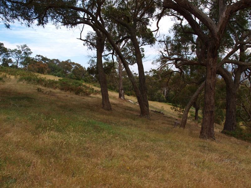 Lot 1 LP112177 Doctors  Creek Road, Clonbinane VIC 3658