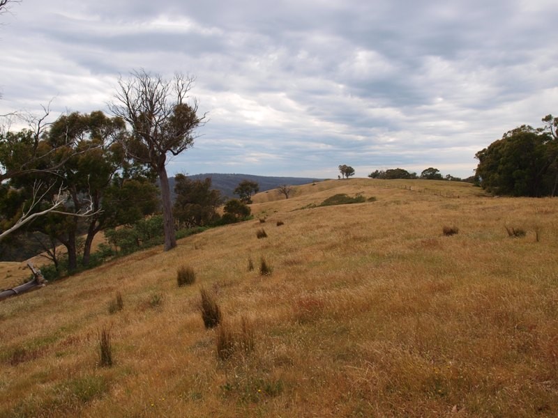 Lot 1 LP112177 Doctors  Creek Road, Clonbinane VIC 3658